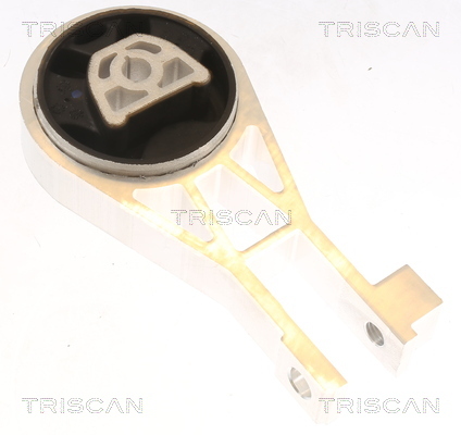 TRISCAN Lagerung, Motor