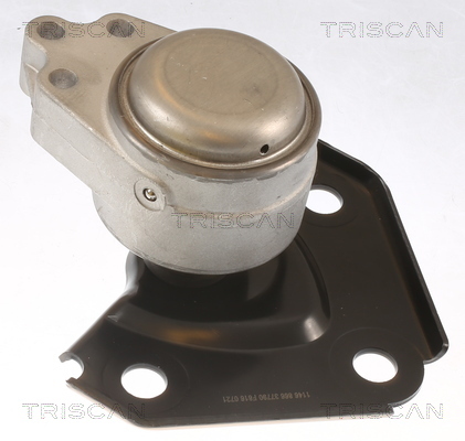 TRISCAN Lagerung, Motor