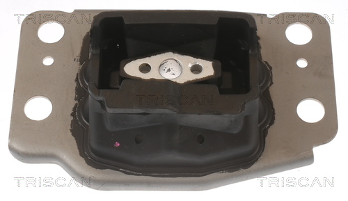 TRISCAN Lagerung, Motor