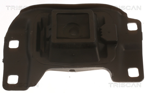 TRISCAN Lagerung, Motor