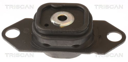 TRISCAN Lagerung, Motor