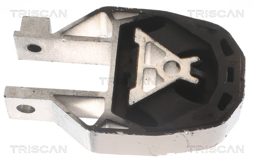 TRISCAN Lagerung, Motor
