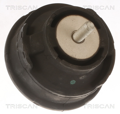TRISCAN Lagerung, Motor
