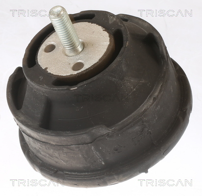 TRISCAN Lagerung, Motor