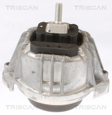 TRISCAN Lagerung, Motor