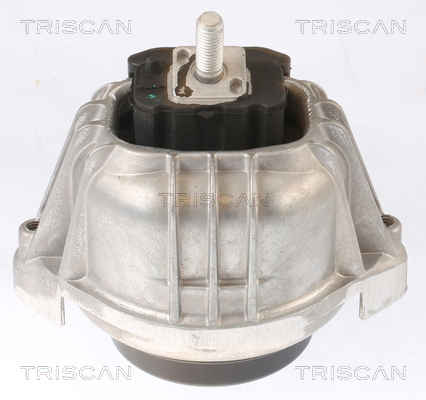 TRISCAN Lagerung, Motor