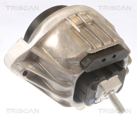 TRISCAN Lagerung, Motor