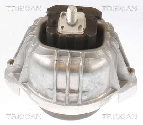 TRISCAN Lagerung, Motor