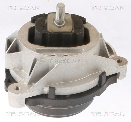 TRISCAN Lagerung, Motor