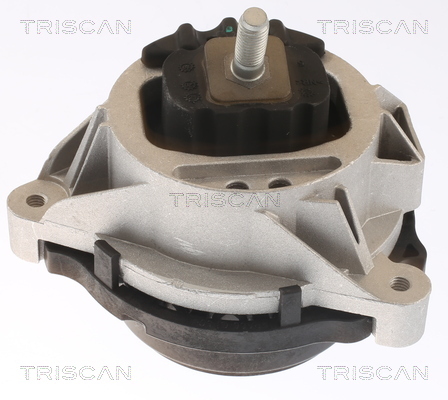 TRISCAN Lagerung, Motor