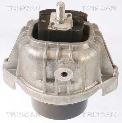 TRISCAN Lagerung, Motor