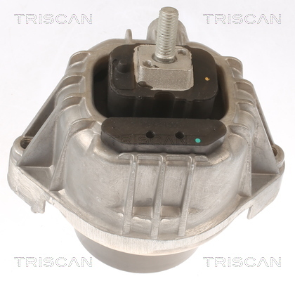 TRISCAN Lagerung, Motor