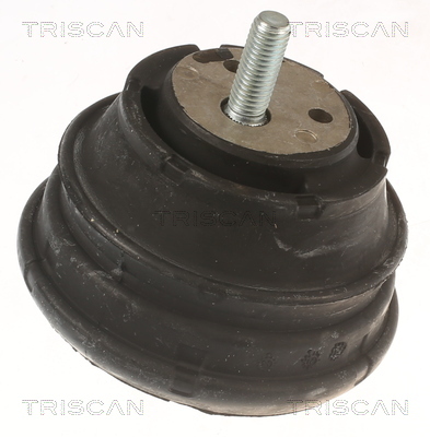 TRISCAN Lagerung, Motor