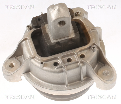 TRISCAN Lagerung, Motor