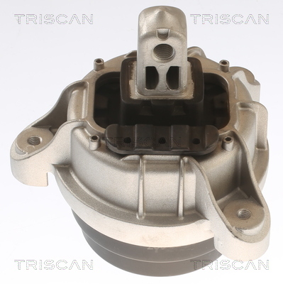 TRISCAN Lagerung, Motor