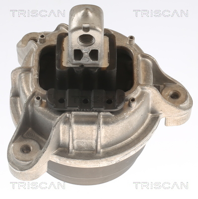 TRISCAN Lagerung, Motor