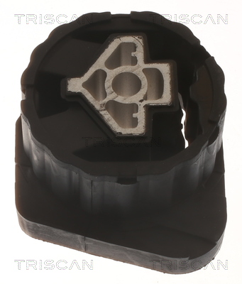 TRISCAN Lagerung, Automatikgetriebe