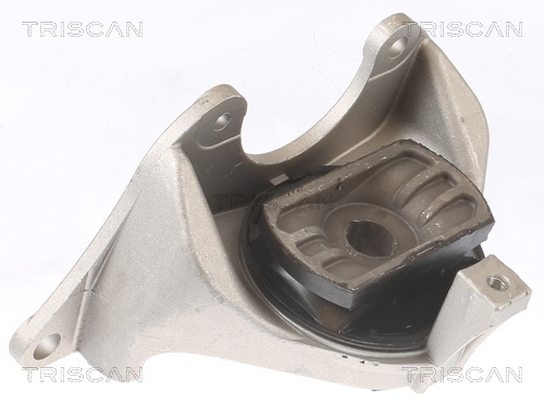 TRISCAN Lagerung, Motor