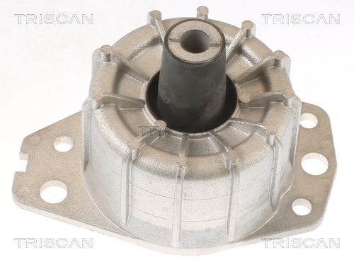 TRISCAN Lagerung, Motor