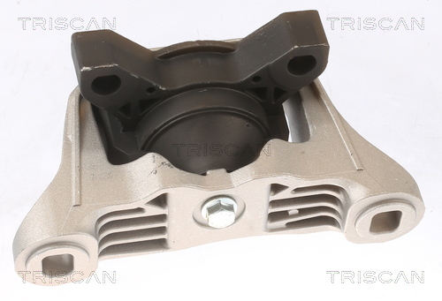 TRISCAN Lagerung, Motor