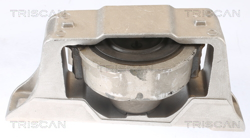 TRISCAN Lagerung, Motor