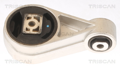 TRISCAN Lagerung, Motor