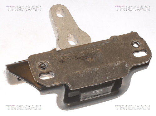 TRISCAN Lagerung, Motor