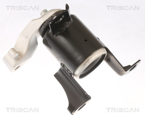 TRISCAN Lagerung, Motor