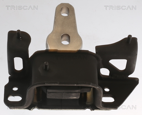 TRISCAN Lagerung, Motor
