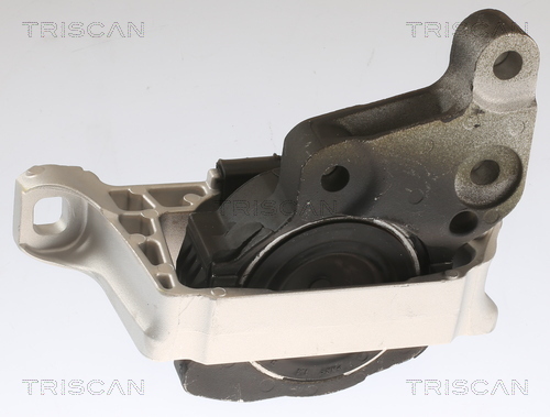 TRISCAN Lagerung, Motor