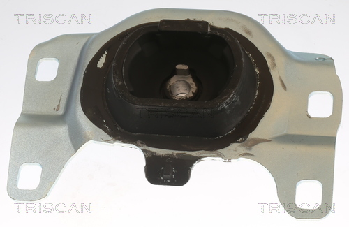 TRISCAN Lagerung, Motor