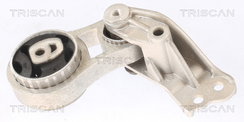 TRISCAN Lagerung, Motor