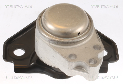 TRISCAN Lagerung, Motor