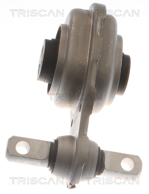 TRISCAN Lagerung, Motor