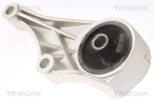 TRISCAN Lagerung, Motor