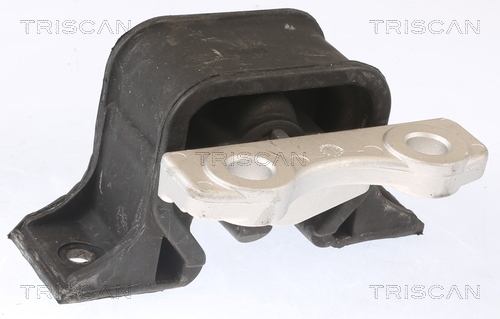 TRISCAN Lagerung, Motor