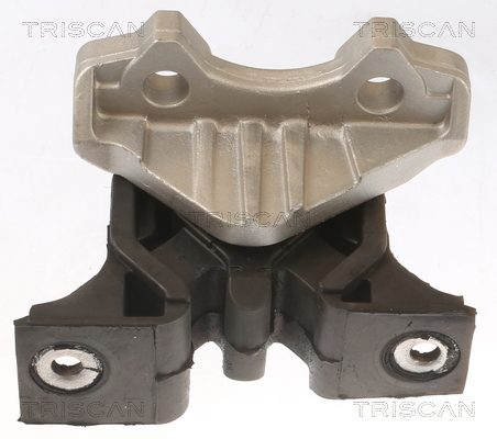 TRISCAN Lagerung, Motor