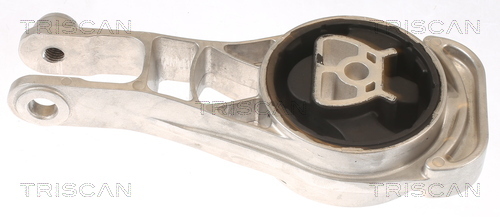 TRISCAN Lagerung, Motor