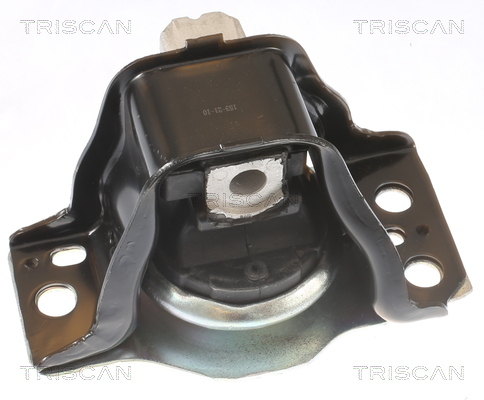 TRISCAN Lagerung, Motor