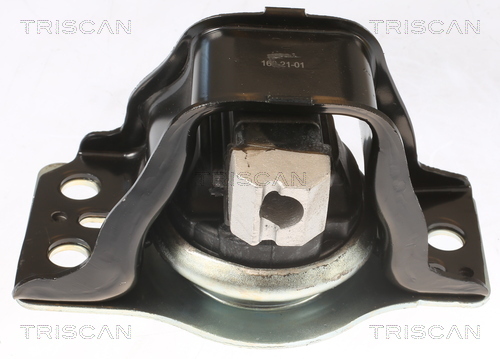 TRISCAN Lagerung, Motor