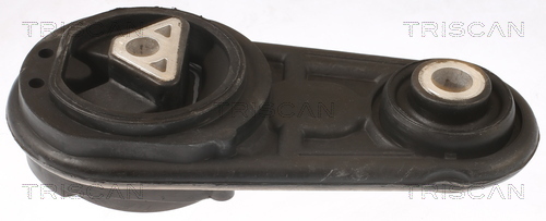 TRISCAN Lagerung, Motor