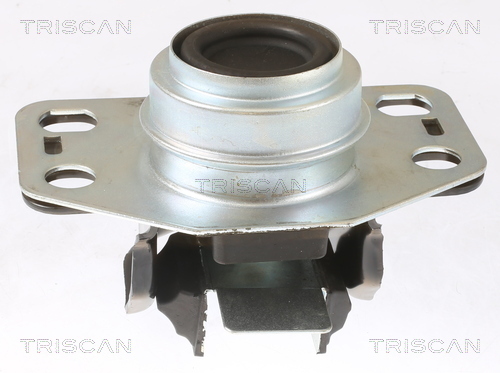 TRISCAN Lagerung, Motor