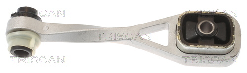 TRISCAN Lagerung, Motor