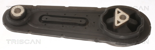 TRISCAN Lagerung, Motor