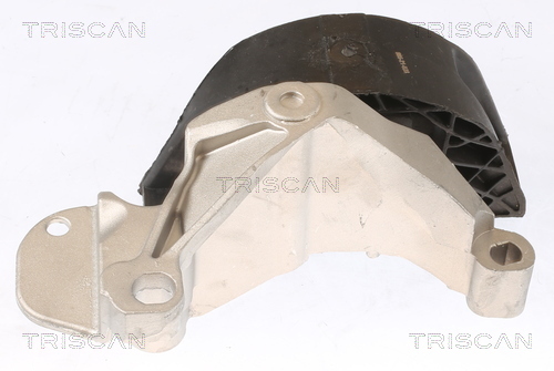 TRISCAN Lagerung, Motor