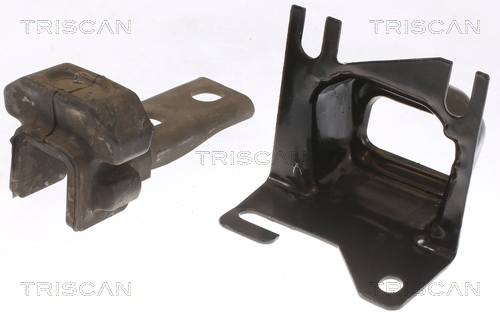 TRISCAN Lagerung, Motor