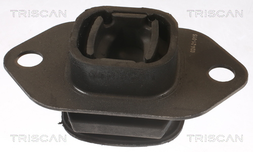 TRISCAN Lagerung, Motor