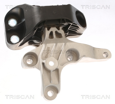 TRISCAN Lagerung, Motor