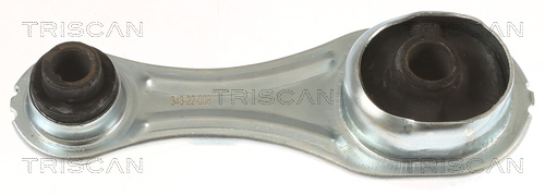 TRISCAN Lagerung, Motor