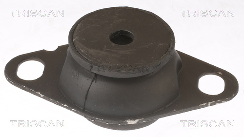 TRISCAN Lagerung, Motor